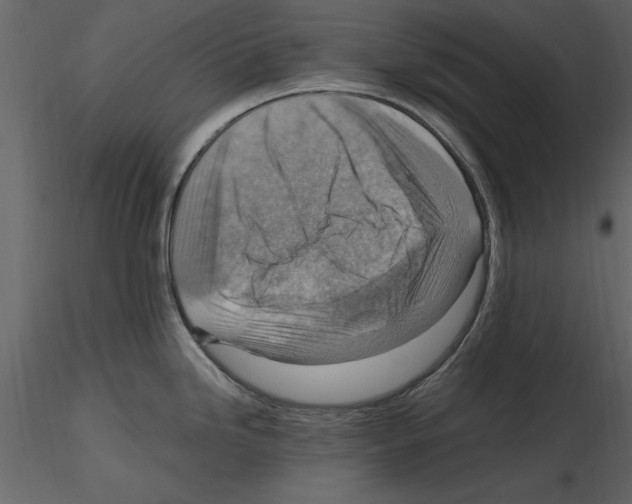 X0000115801246200912241846