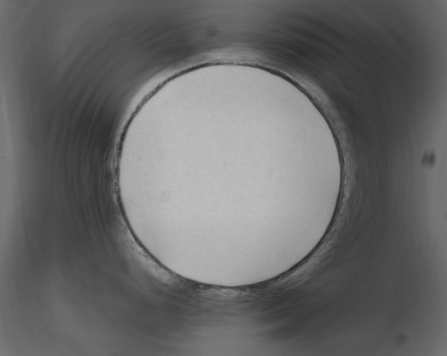 X0000115801248200912241846