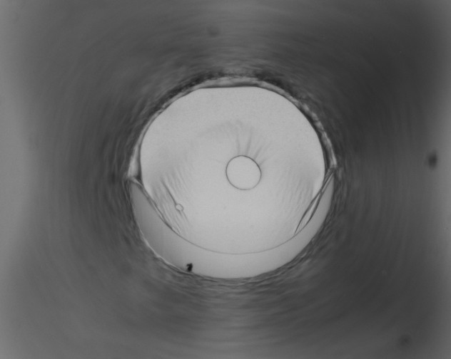 X0000115801249200912241846