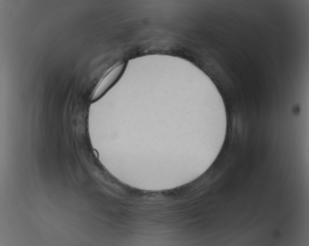 X0000115801250200912241846