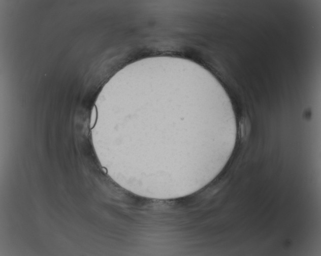 X0000115801251200912241846