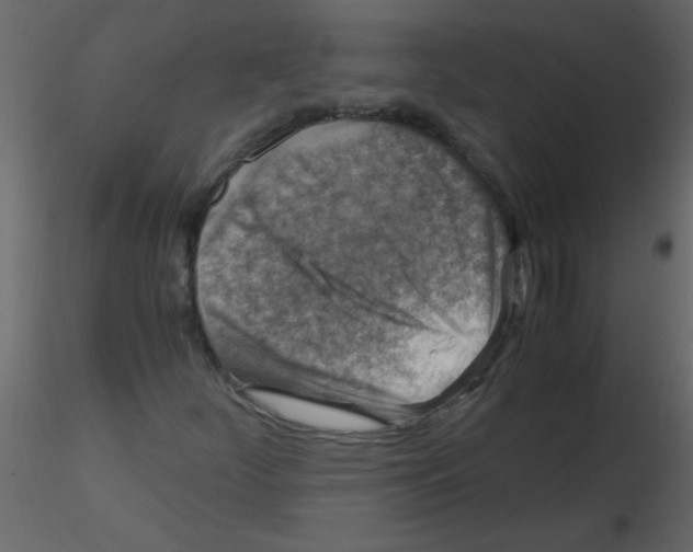 X0000115801252200912241846