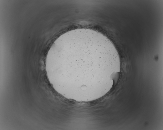 X0000115801253200912241846