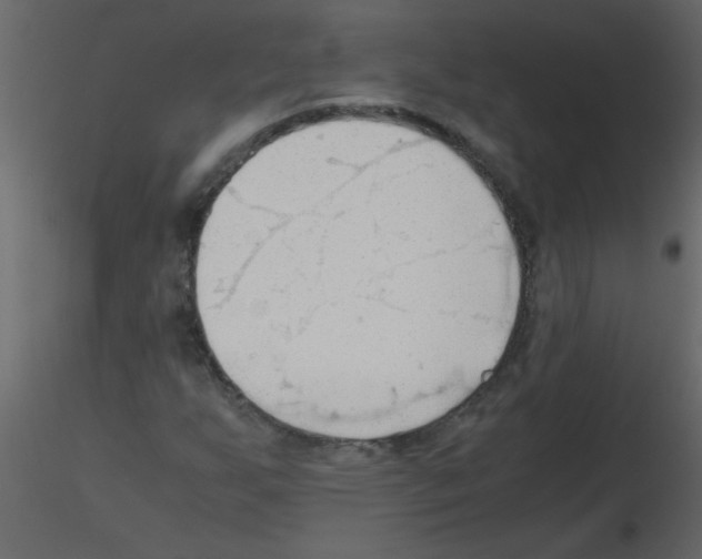 X0000115801255200912241846