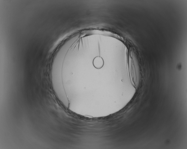 X0000115801256200912241846