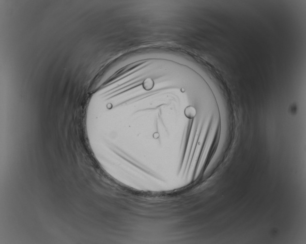 X0000115801257200912241845