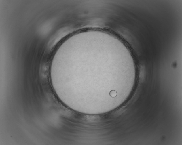 X0000115801258200912241845