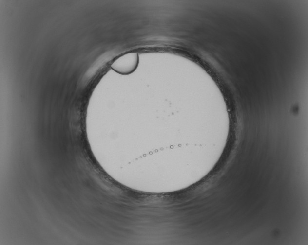 X0000115801259200912241845