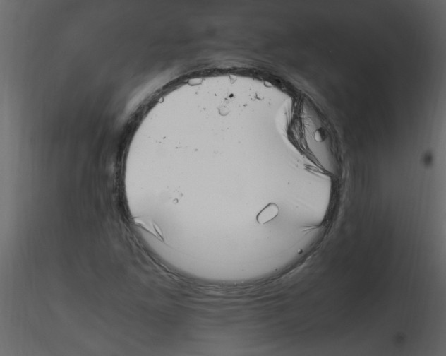 X0000115801261200912241845