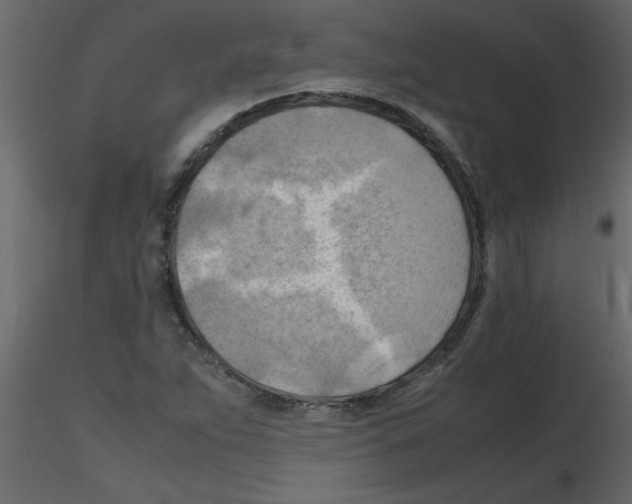 X0000115801263200912241845