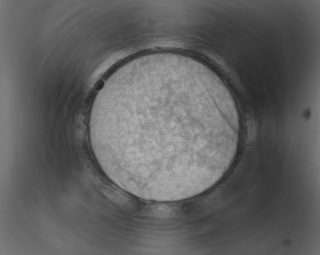 X0000115801266200912241845