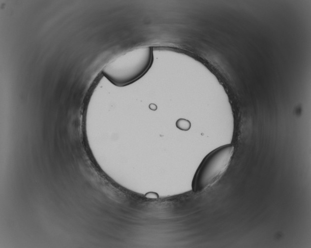 X0000115801268200912241845