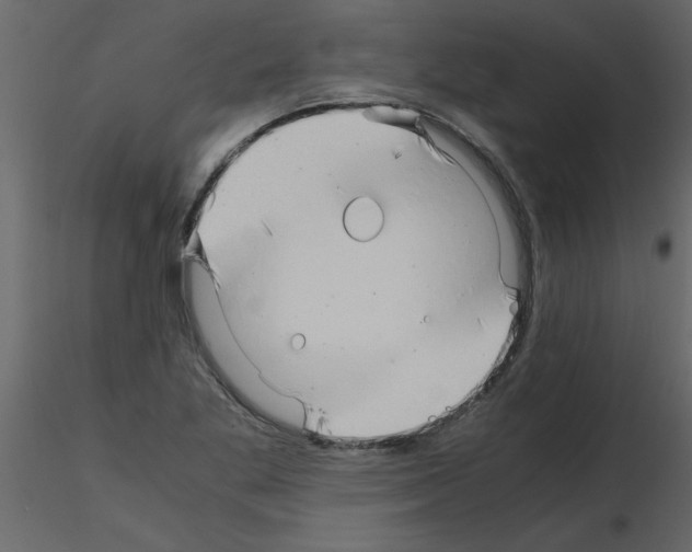 X0000115801269200912241845