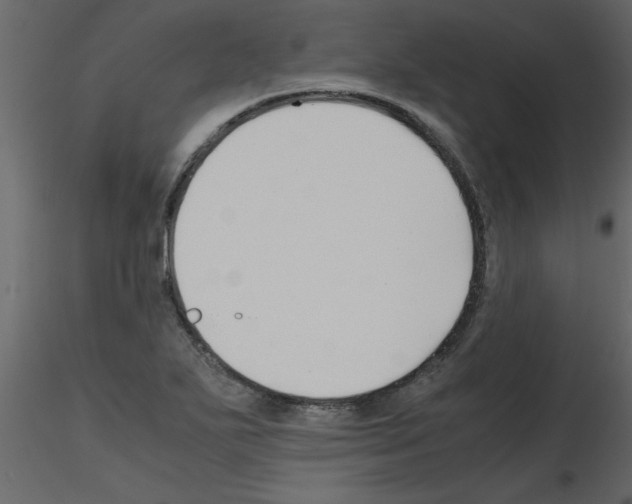 X0000115801271200912241845