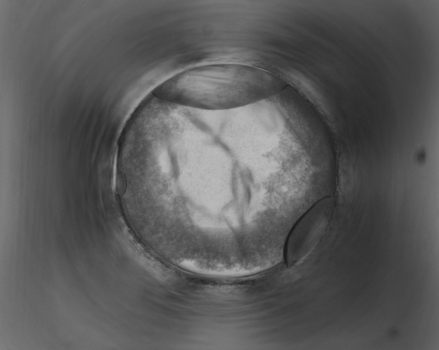 X0000115801276200912241845