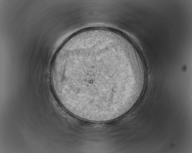 X0000115801279200912241845