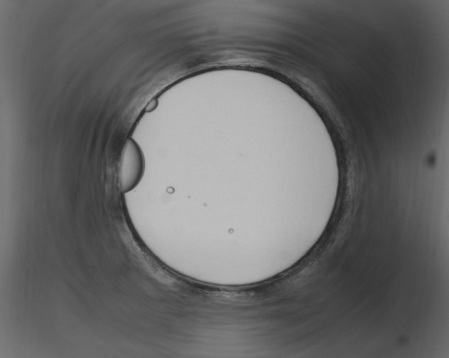 X0000115801281200912241845