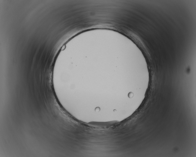 X0000115801284200912241845