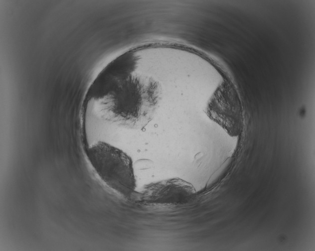 X0000115801287200912241845