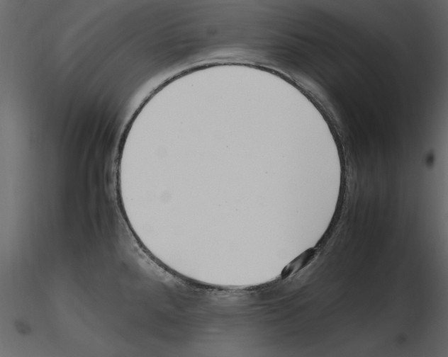 X0000115801288200912241845