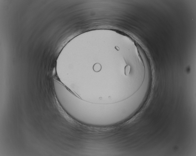 X0000115801289200912241845