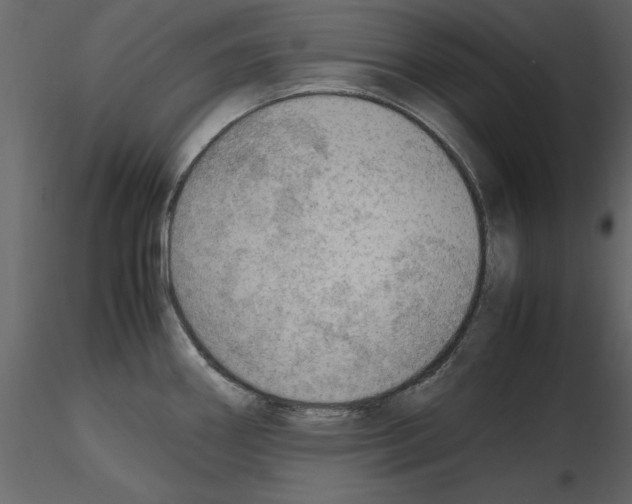 X0000115801290200912241845