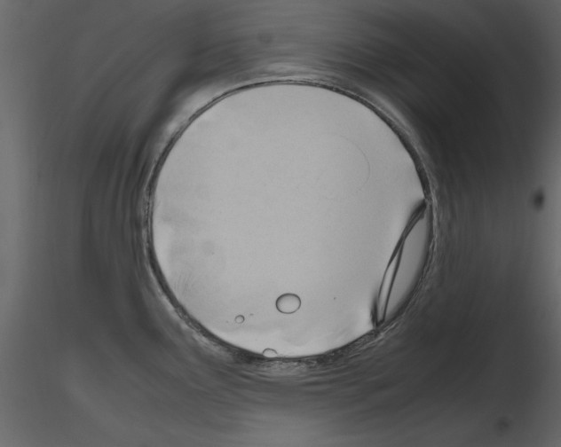 X0000115801291200912241845