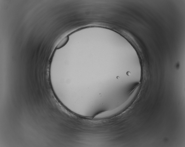 X0000115801292200912241845