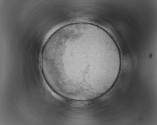 X0000115801294200912241845