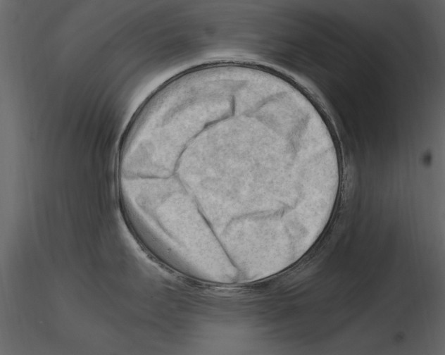 X0000115801295200912241845