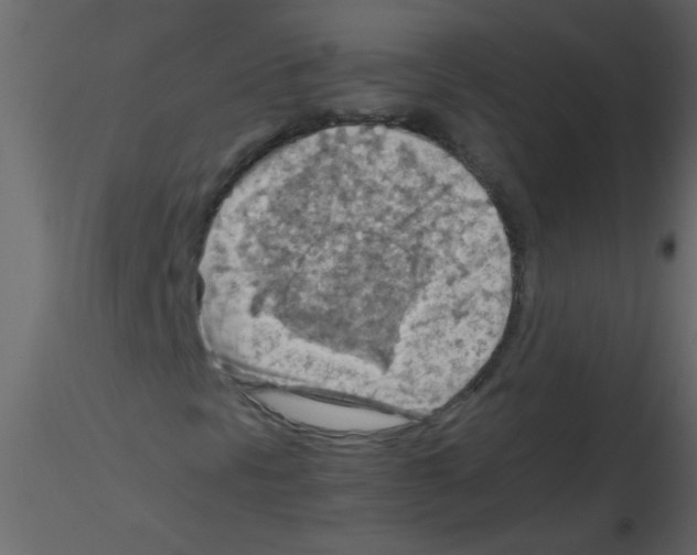 X0000115801297200912241844