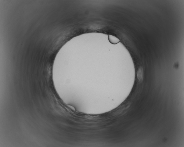 X0000115801299200912241844