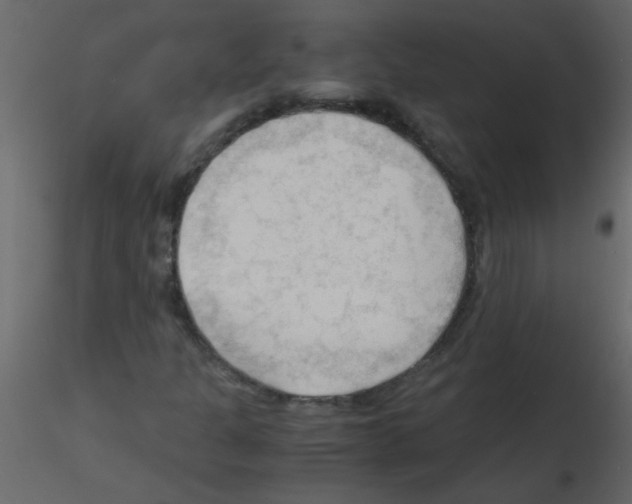 X0000115801301200912241844