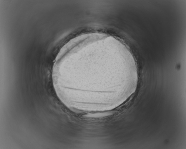 X0000115801302200912241844