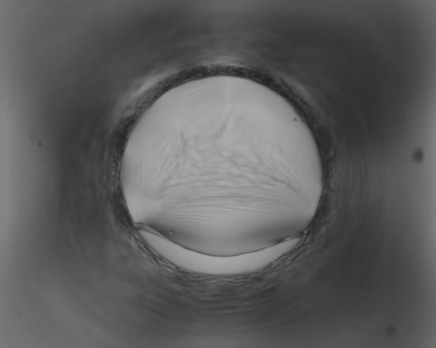 X0000115801303200912241844