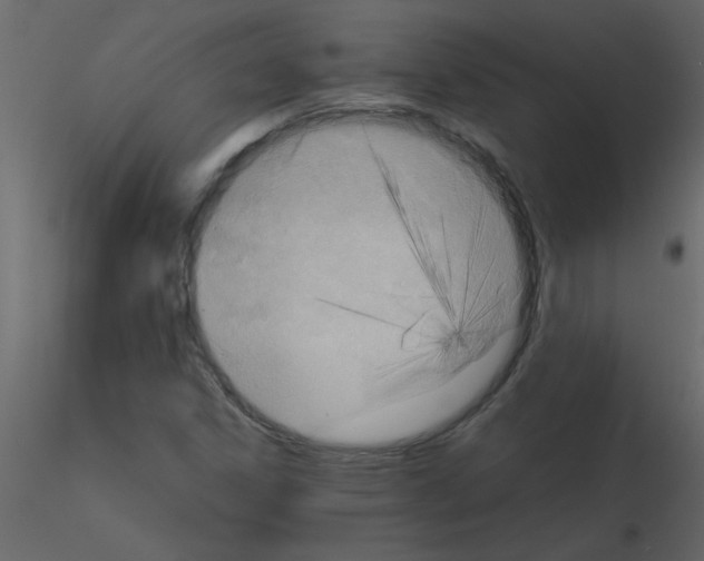 X0000115801306200912241844