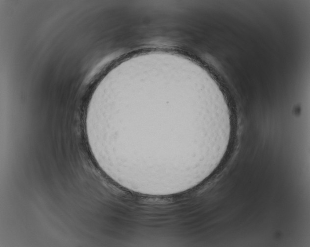 X0000115801307200912241844