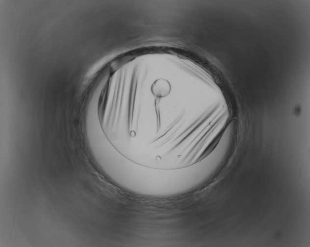 X0000115801310200912241844