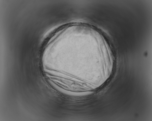 X0000115801311200912241845