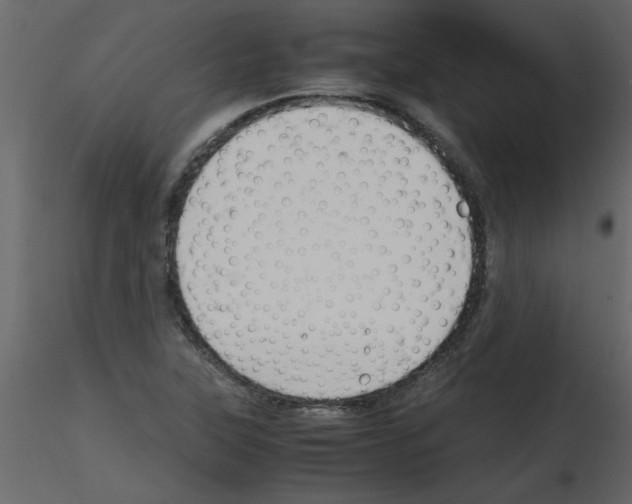 X0000115801315200912241845