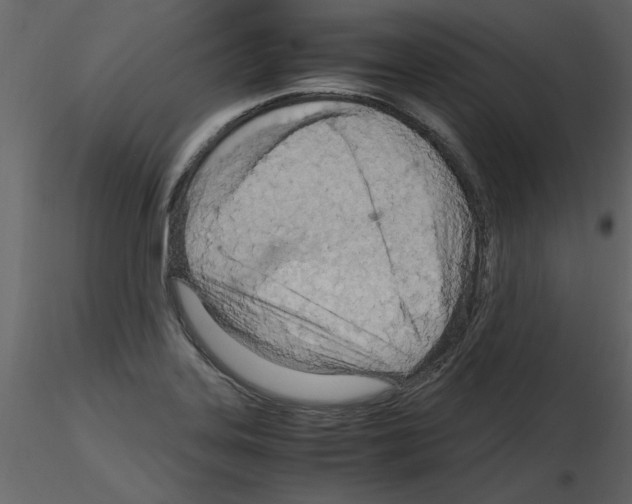 X0000115801323200912241845