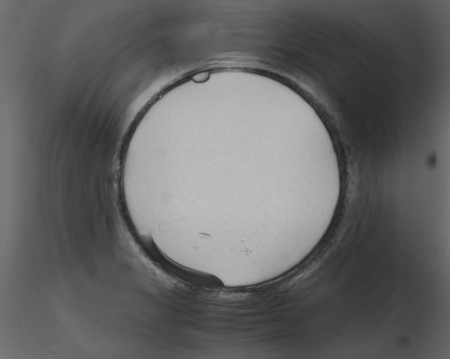 X0000115801325200912241845