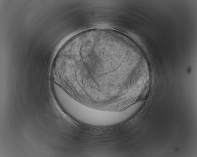 X0000115801331200912241845