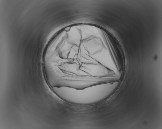 X0000115801334200912241845