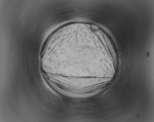 X0000115801335200912241845