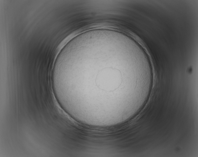 X0000115801338200912241845