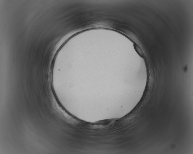 X0000115801339200912241845