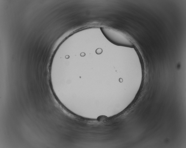 X0000115801341200912241845