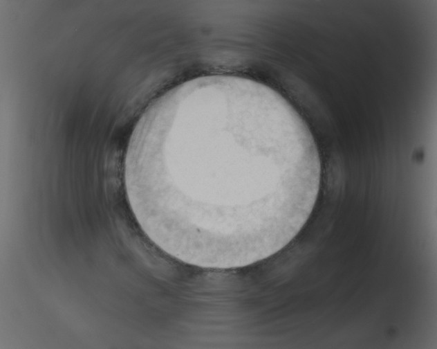 X0000115801346200912241844