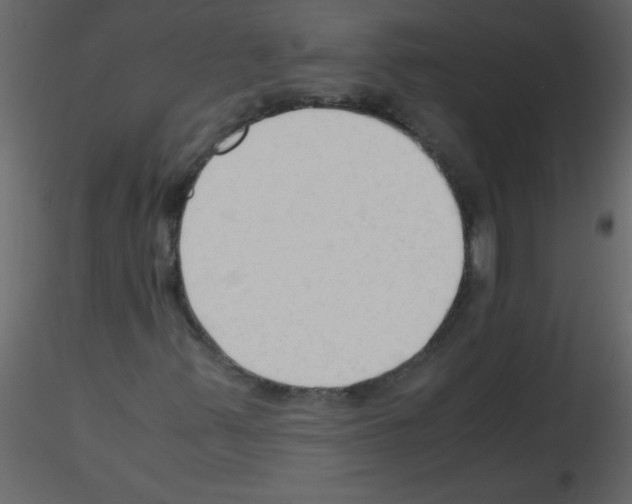 X0000115801347200912241844